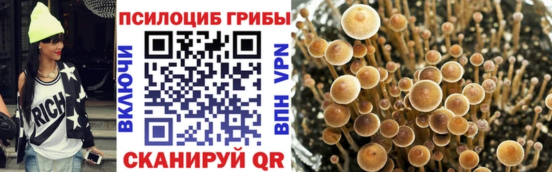 Галлюциногенные грибы Magic Shrooms  Купить  Нефтеюганск 